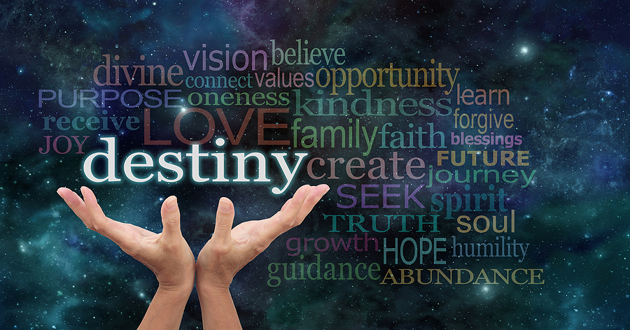 The 2025 Live Online Destiny Activator Coaching Program