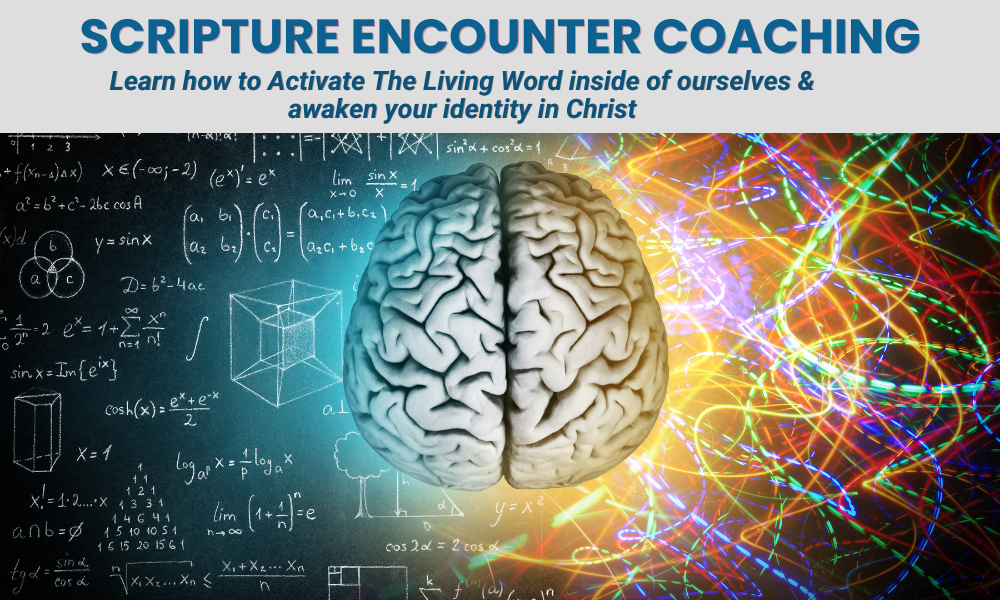 Click here to purchase before 24th April